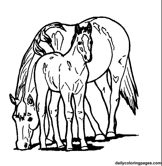 simple mare colt horse coloring pages horse coloring pages