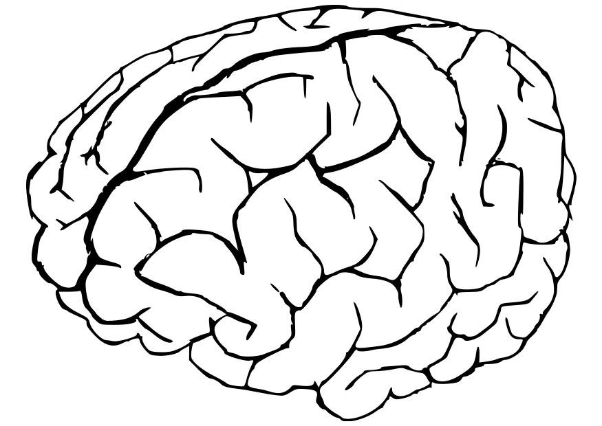 Coloring page brain - img 22945.