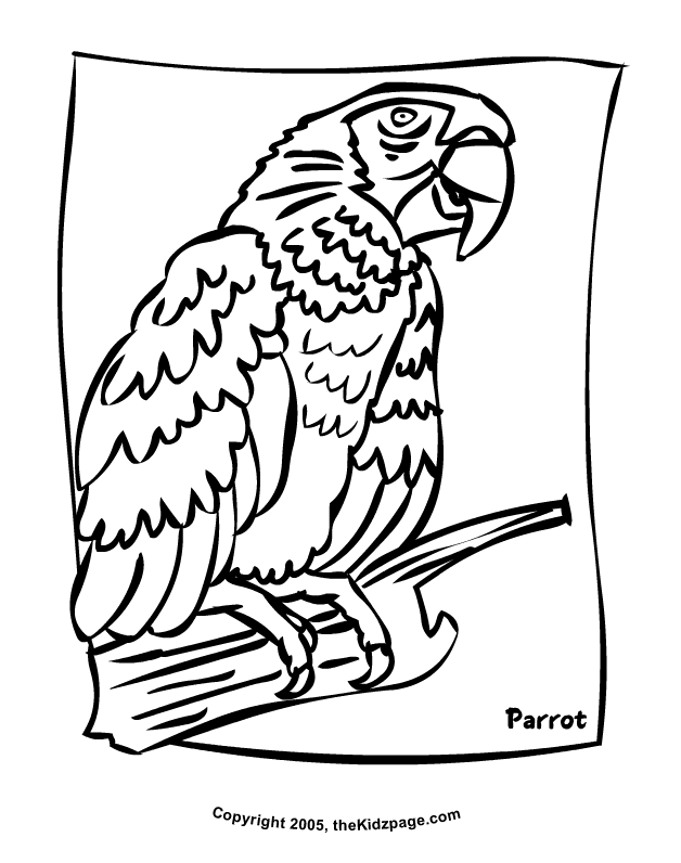 Parrot Free Coloring Pages for Kids - Printable Colouring Sheets