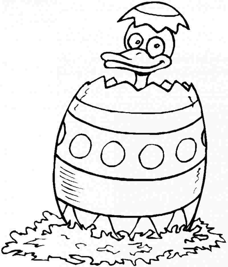 Easter Chick Coloring Sheets Printable Free For Preschool - #