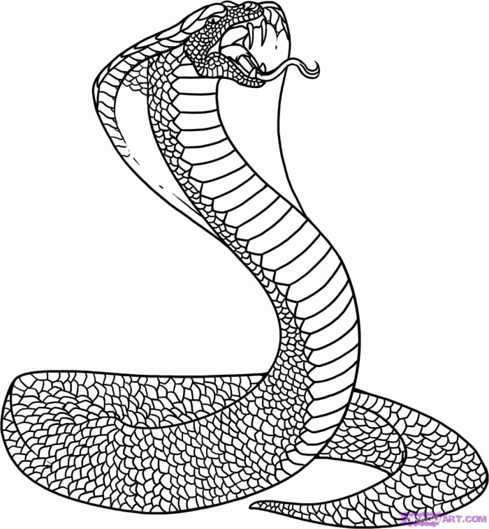King Cobra Snake Coloring Pages | 99coloring.com