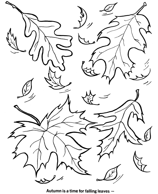 Fall Coloring sheets - Kids Fall Leaves Coloring Page Sheets of 