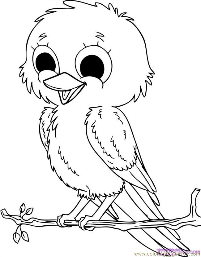 Coloring Pages How To Draw Baby Birds Step 8 (Animals > Birds 