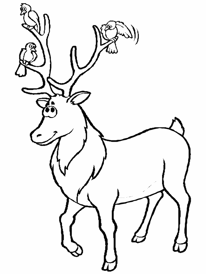 Coloring Page - Deer coloring pages 9