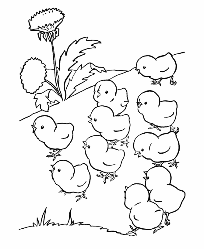 Baby Farm Animal Coloring Pages