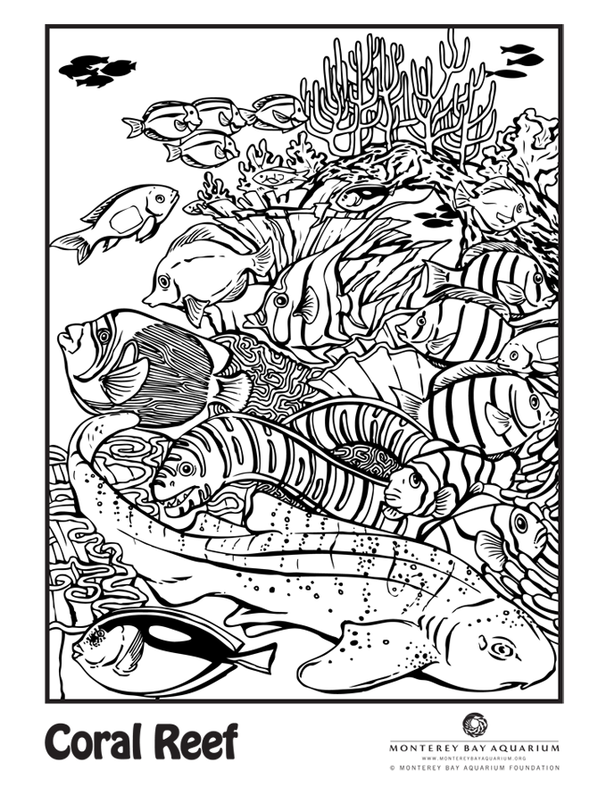 Coral Reef Coloring Pages | Coloring Pages