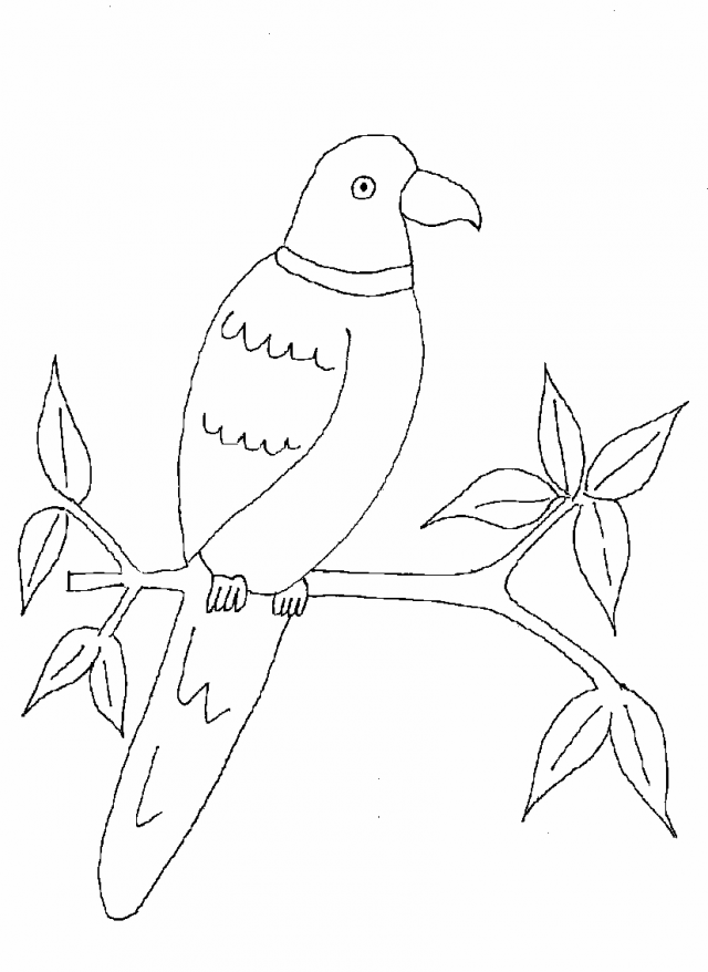 Parrot Printable Coloring Page For Kids Coloring Pages Of Various 