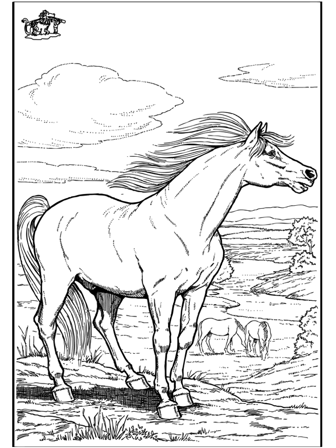 Animals Coloring Pages Horses Wild Horse