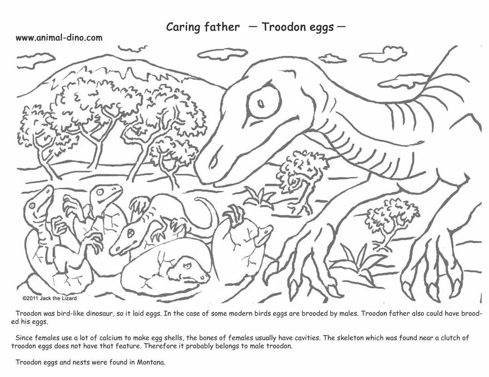Animal Coloring Page (Troodon Eggs) Print Size - Jack the Lizared 
