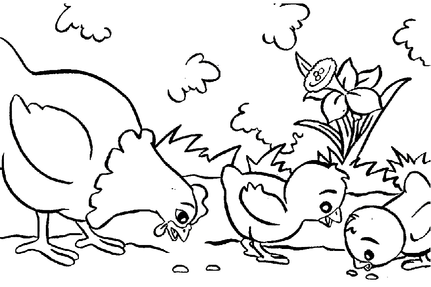 Hen (Chicken) Coloring Pages