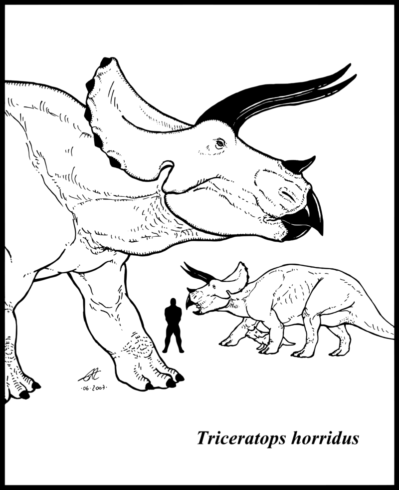 Maiasaura peeblesorum by