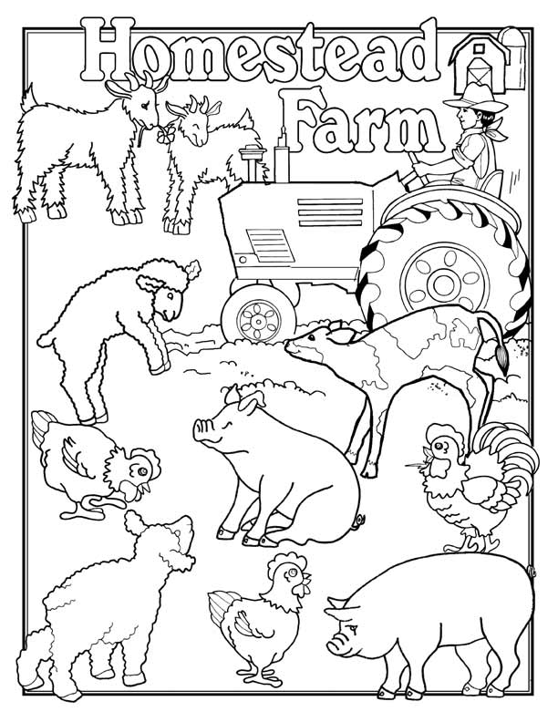 Coloring Pages For Farm Animals | Top Coloring Pages