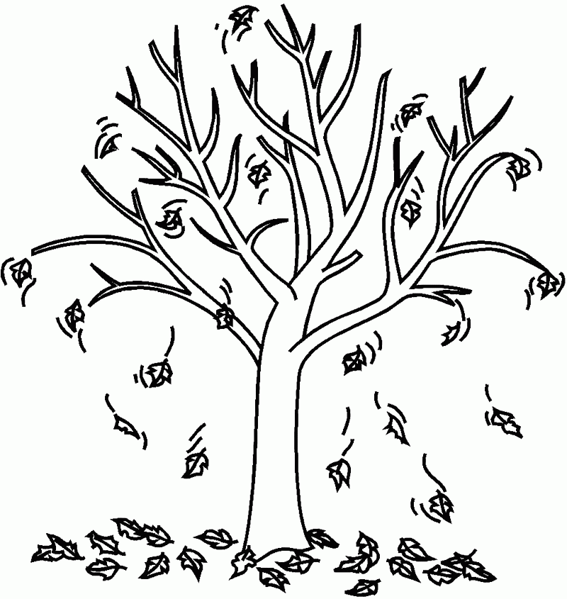 Autumn Fall Tree Coloring Page - Tree Coloring Pages : Coloring 