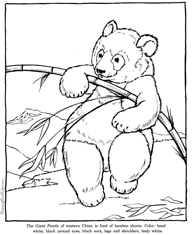 zoo-animal-coloring-pages-998 | COLORING WS