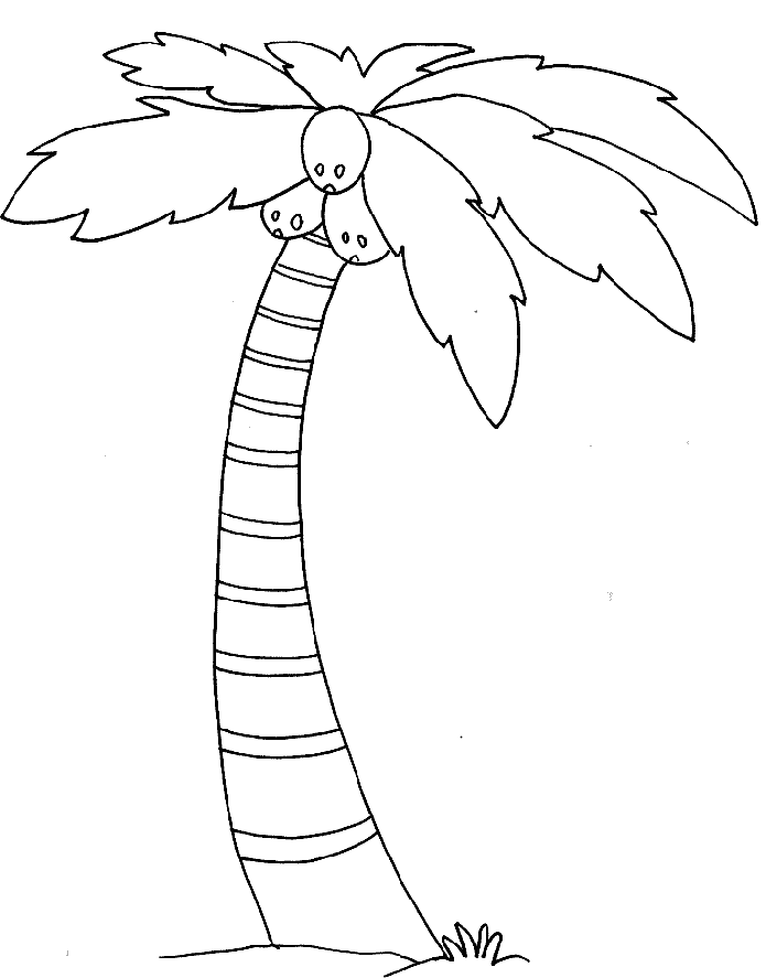 Palm Trees In The Desert Coloring Pages - Trees Coloring Pages 
