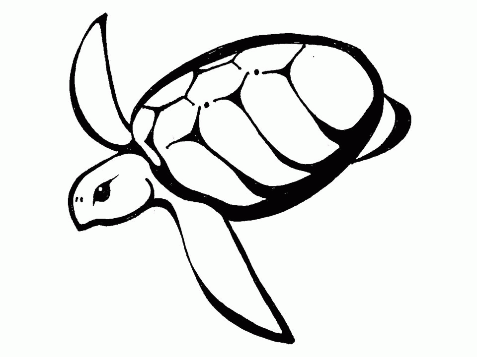 Hawaiian Turtle Outline | Clipart Panda - Free Clipart Images