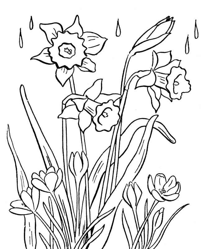 Print Spring Flowers Coloring Pages Printable or Download Spring 