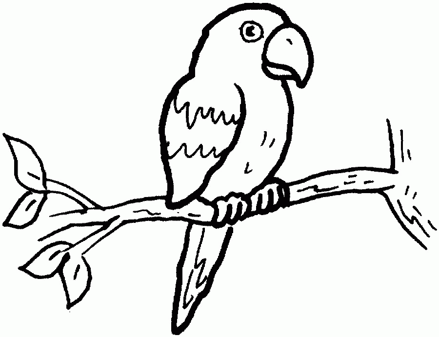 Free Printable Parrot Coloring Pages For Kids