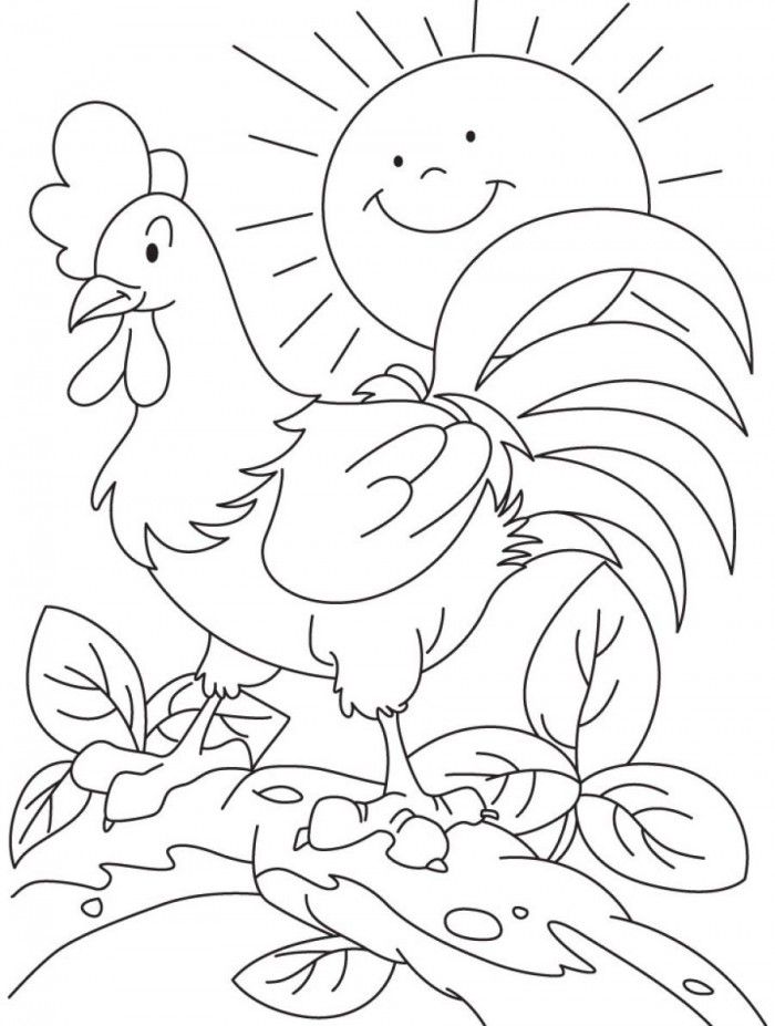 Chicken Hawk Coloring Pages