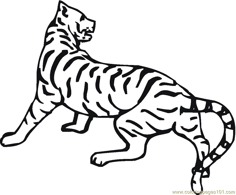 Animal Coloring Free Printable Tiger Coloring Pages For Kids Tiger 