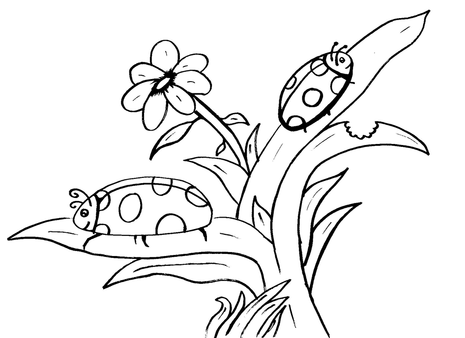 Ladybug Coloring Pages