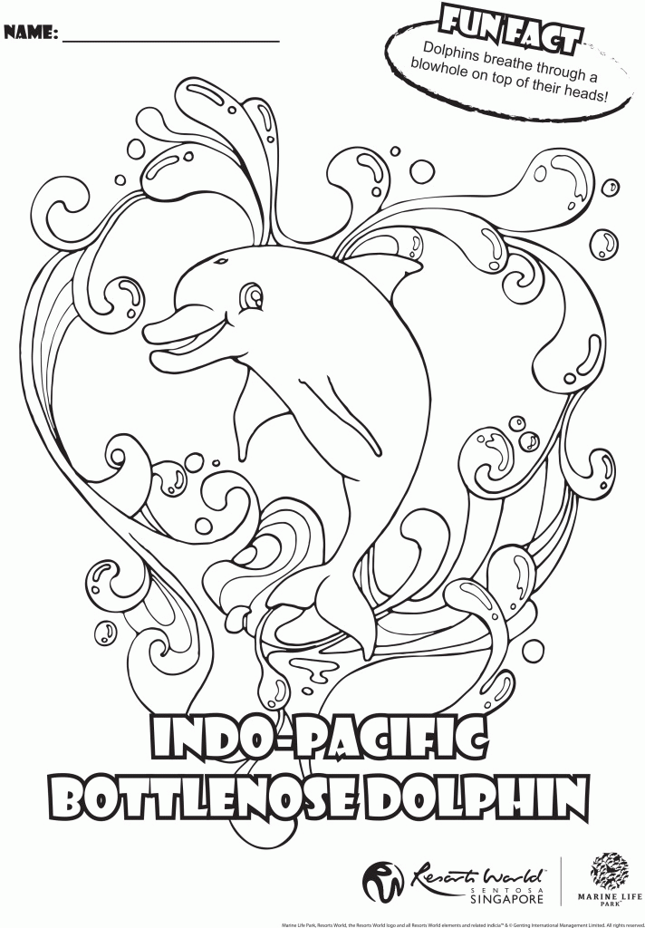 bottlenose dolphins Colouring Pages