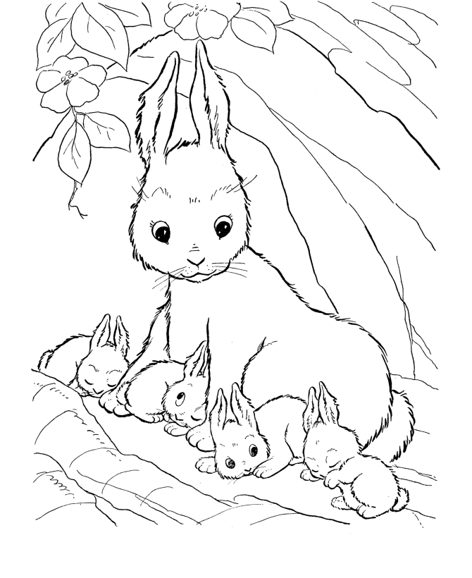 mom and baby panda Colouring Pages (page 2)