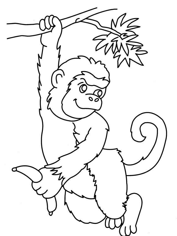 Monkey coloring pages | Monkey coloring page | #39 Free Printable 
