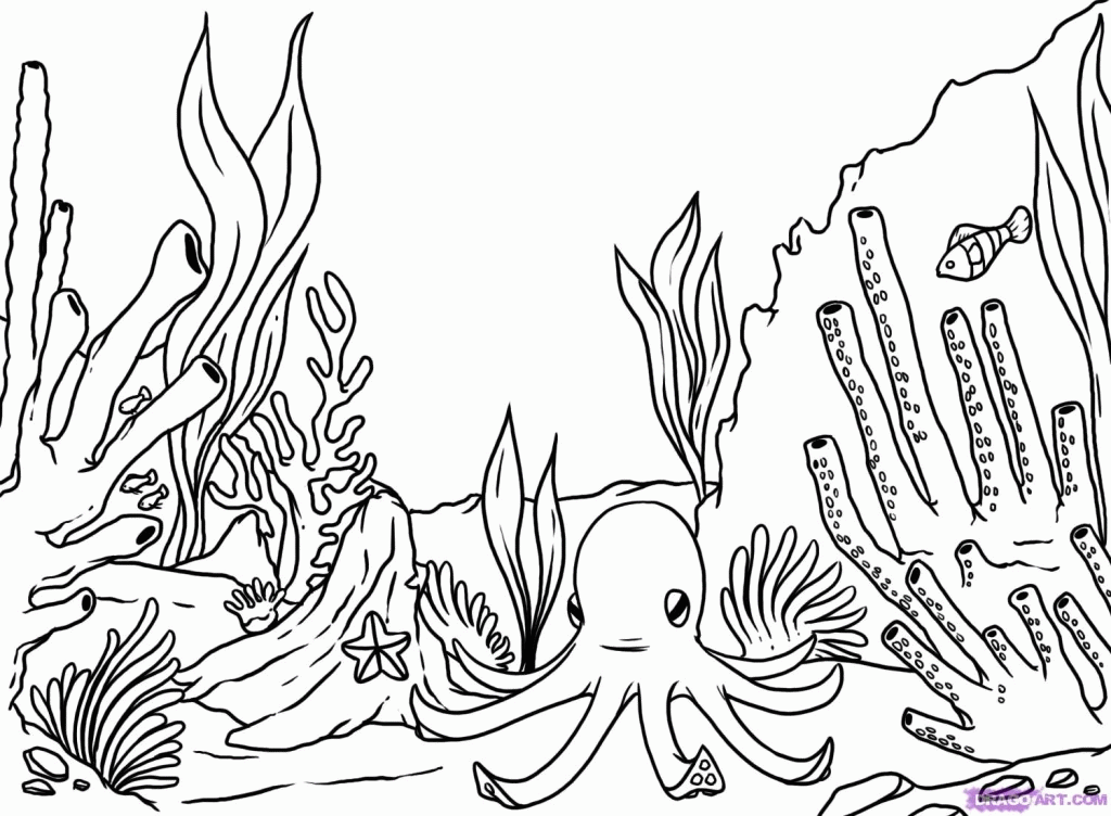 Free How Draw Coral Reef Step Other Landmarks Places | Laptopezine.