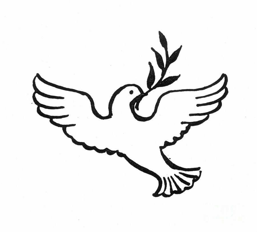 Peace Dove by Granger - Peace Dove Photograph - Peace Dove Fine 