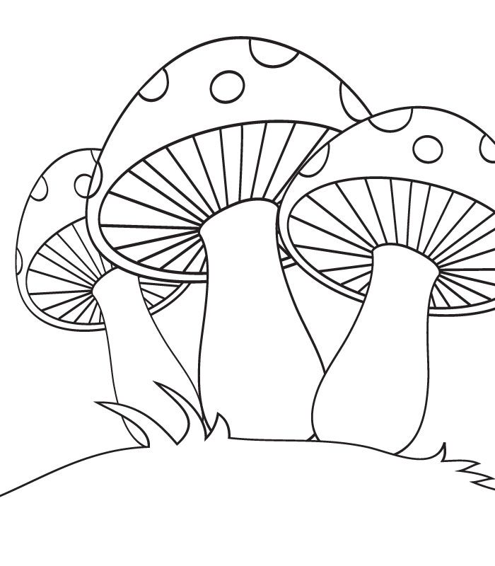Printable Mushroom Coloring Pages | Kids Coloring Pages 