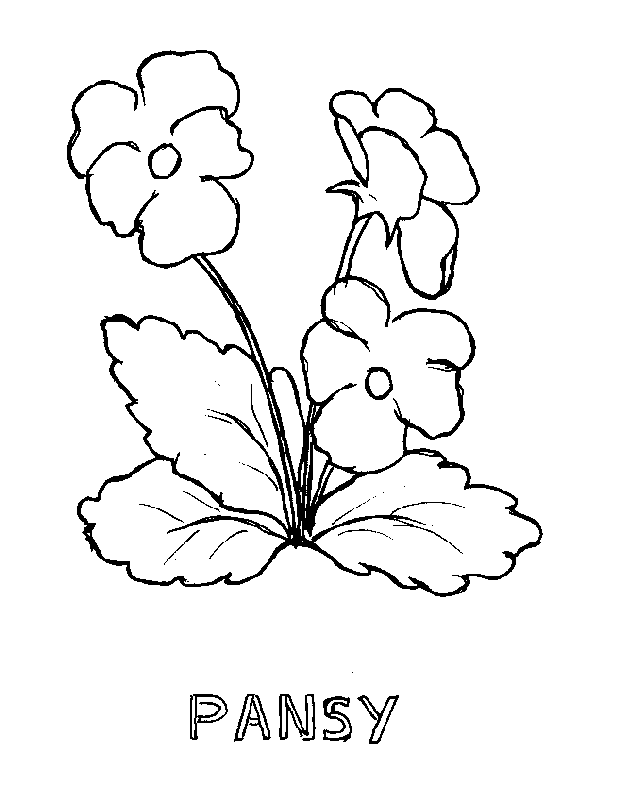 35 Spring Flowers Coloring Pages | Free Coloring Page Site