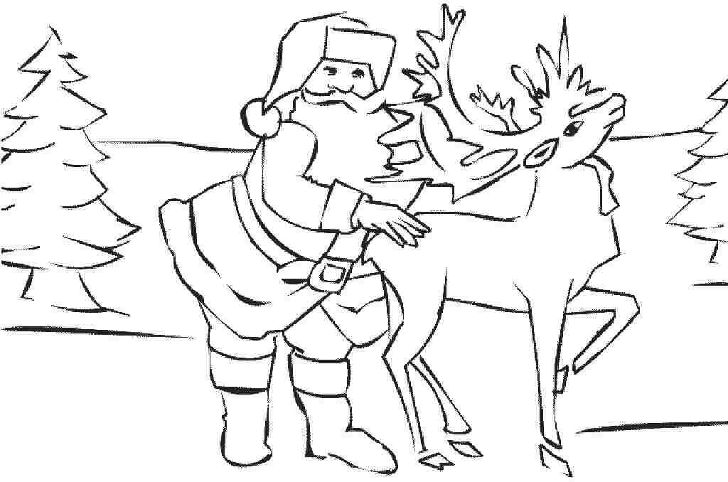 Animal Coloring Whitetail Deer Coloring Pages » Whitetail Deer 