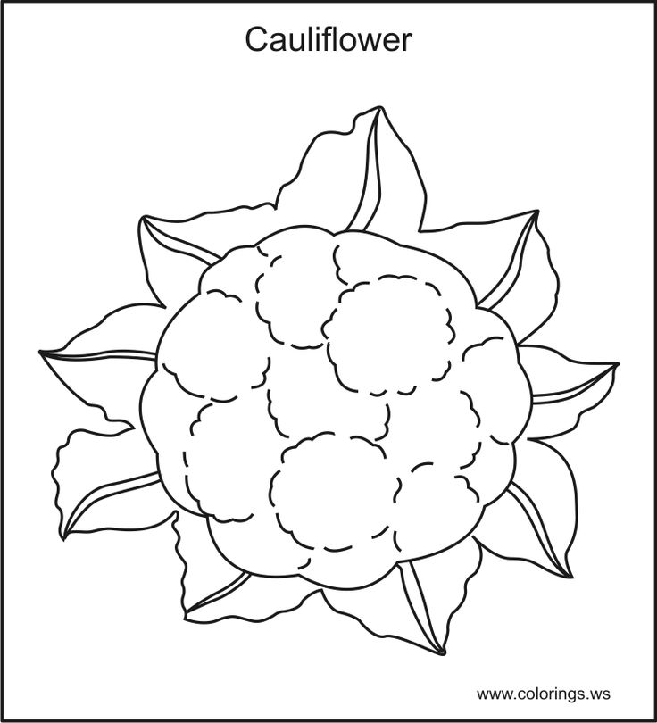 vegetable coloring book pages you can print and color news 