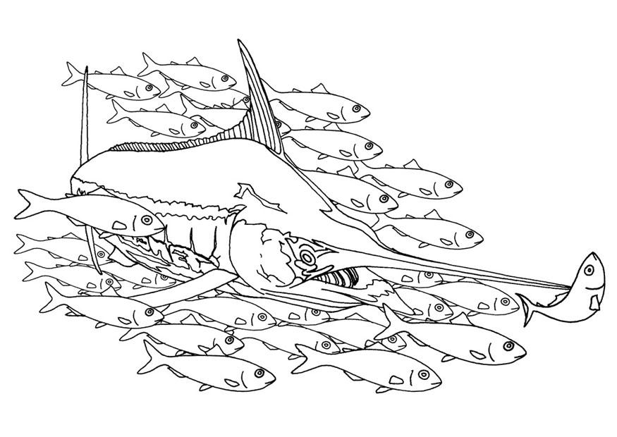 Coloring page swordfish in a school of fish - img 9483.