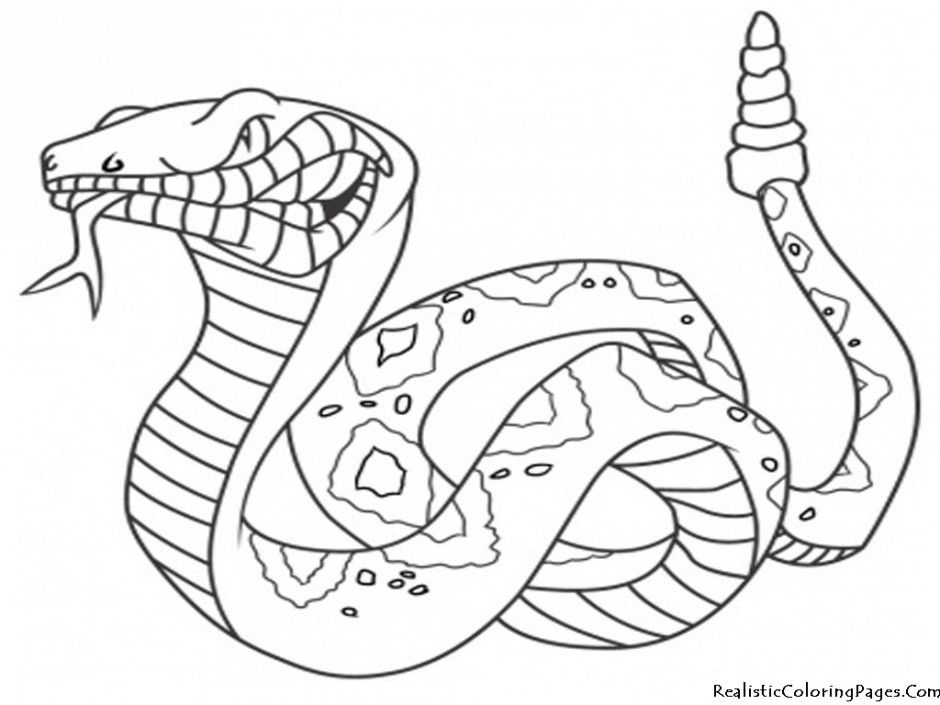 Coloring Pages Of Snakes Free Coloring Pages For Kids 289750 Snake 
