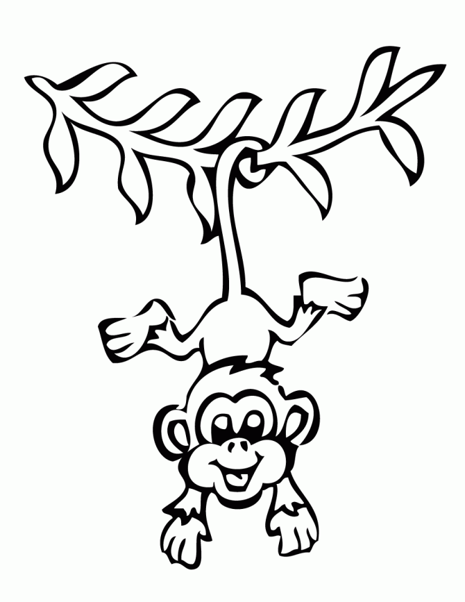 Monkey Coloring Pages - Free Coloring Pages For KidsFree Coloring 