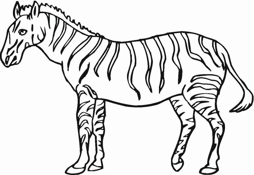 Printable-Zebra-Coloring-Pages-847×1024Free coloring pages for 