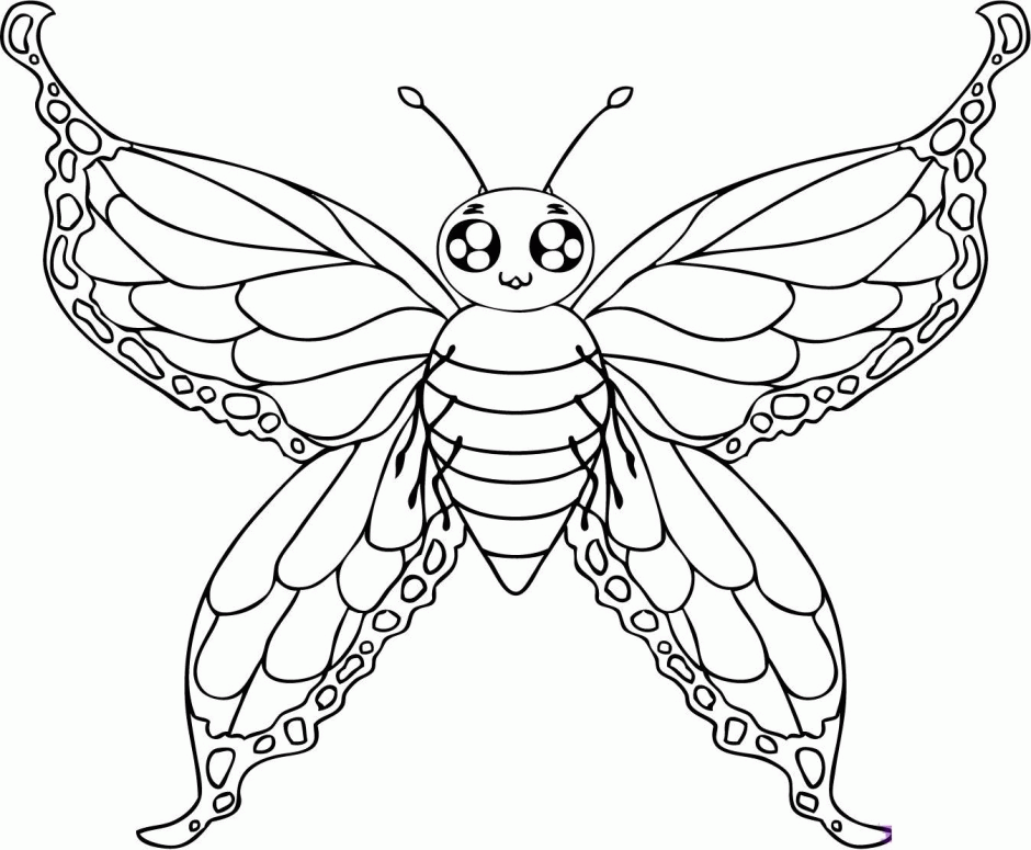 Pictures Of Butterflies To Print And Color Online Coloring Book 