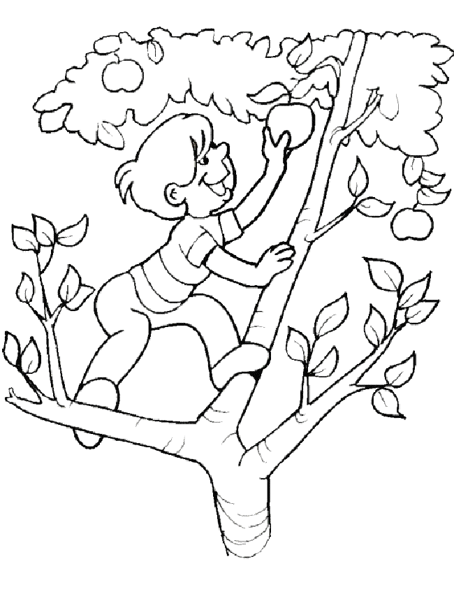 Summer Coloring Pages for Kids- Printable Coloring Book Pages