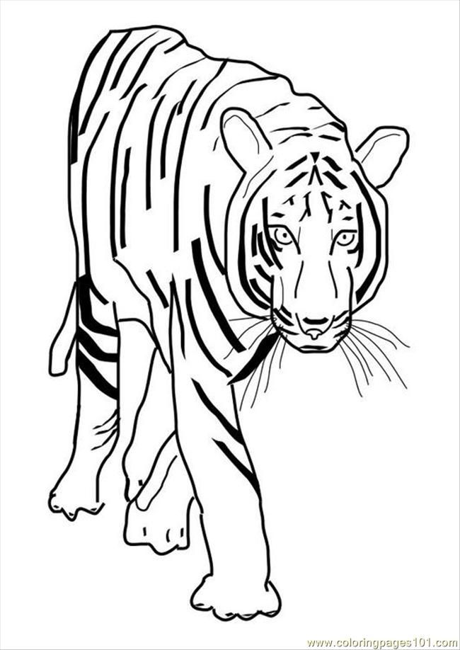 wwf sin cara Colouring Pages