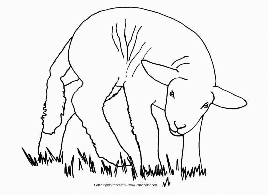 Free Printable Farm Animal Coloring Pages Great For Kids Free 