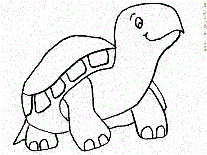 Coloring Pages Turtle Coloring Pages 05 (Reptile > Turtle) - free 
