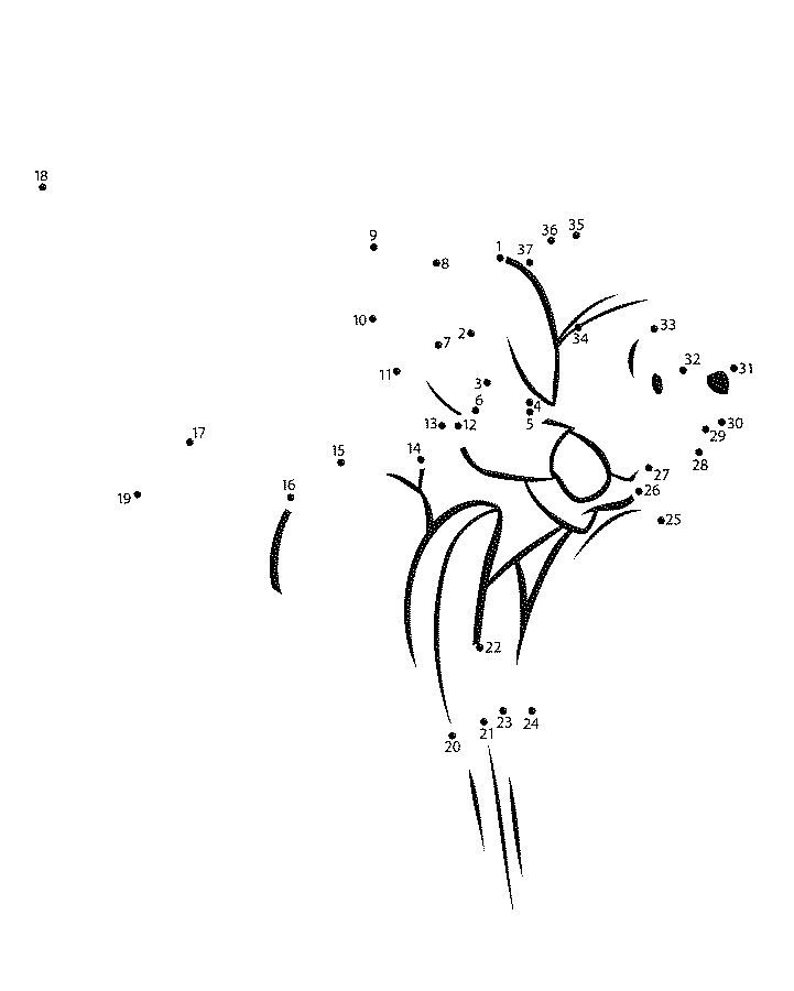 Pooh & Piglet's Coloring Pages 2