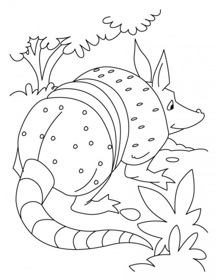 Anteater Pet Coloring Pages