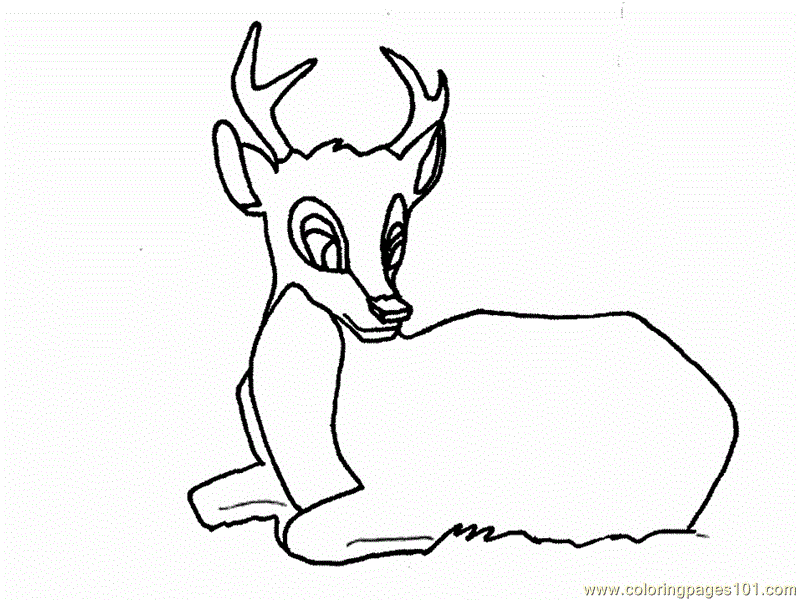 194-free-printable-coloring-page-deer-big-eye-mammals-deer 