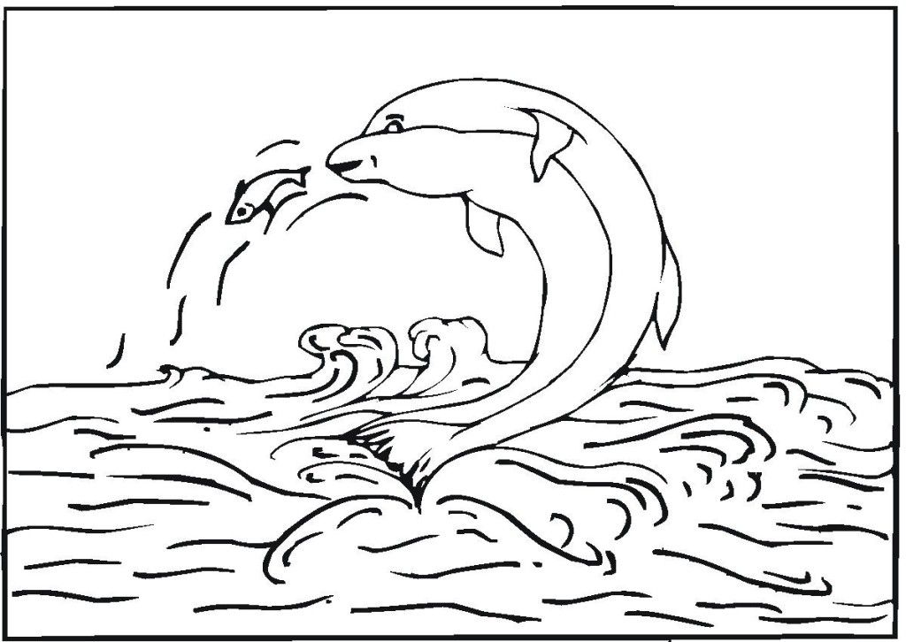 Dolphin Coloring Pages - Free Coloring Pages For KidsFree Coloring 