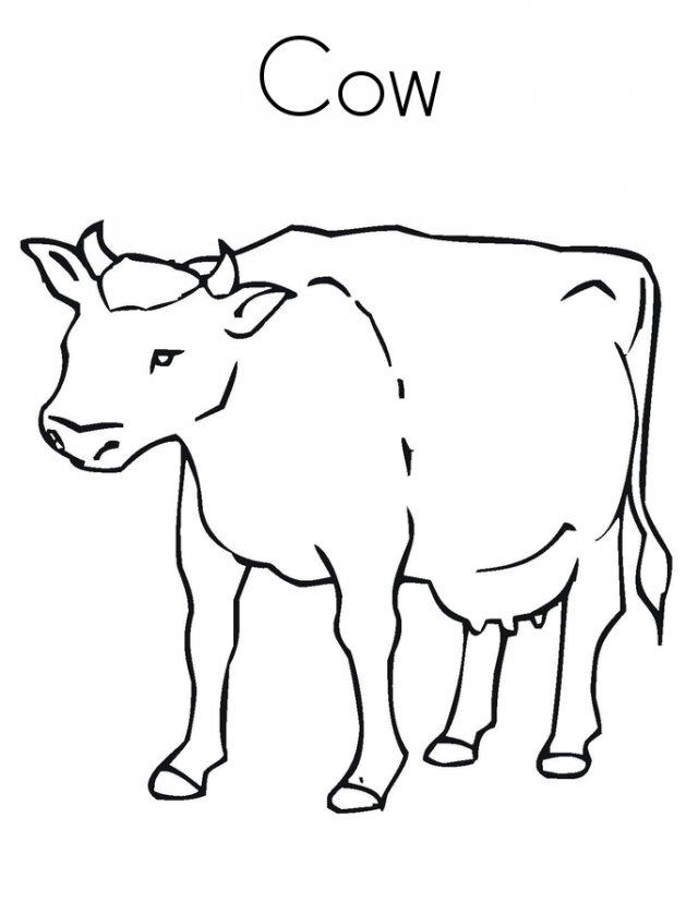 learn Cow Coloring Pages for kids | Great Coloring Pages