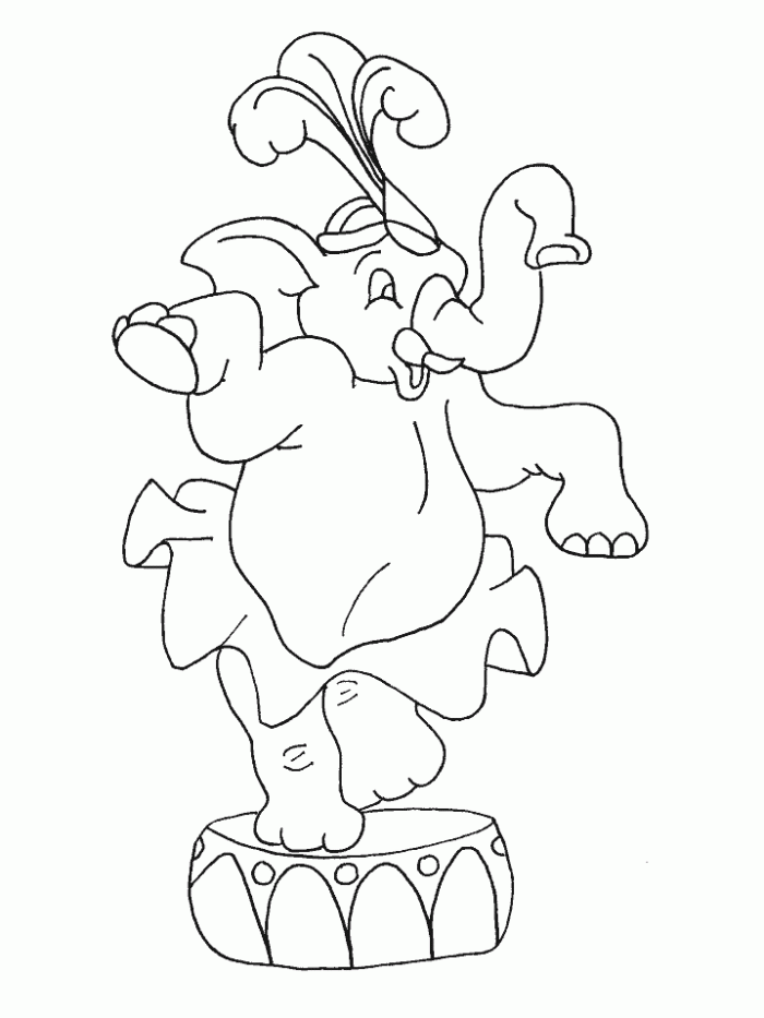 Circus elephant Coloring Pages « Printable Coloring Pages