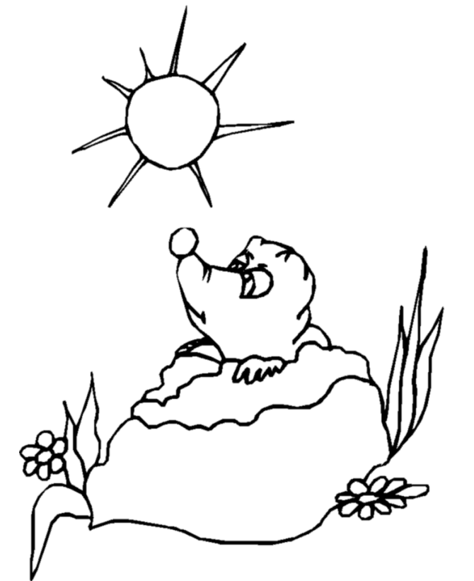 BlueBonkers - Groundhog Day Coloring Page Sheets - Groundhog's Day 9